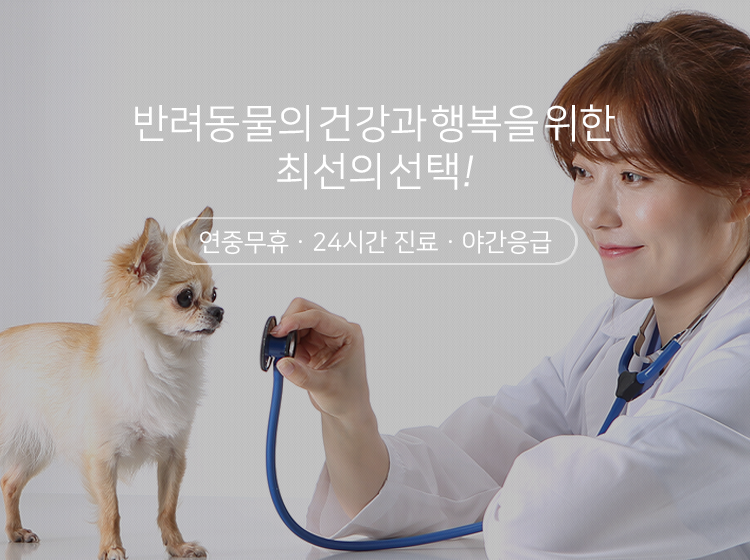 모바일 비주얼1